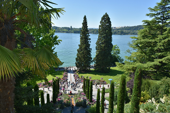 Südländisches Flair am Bodensee