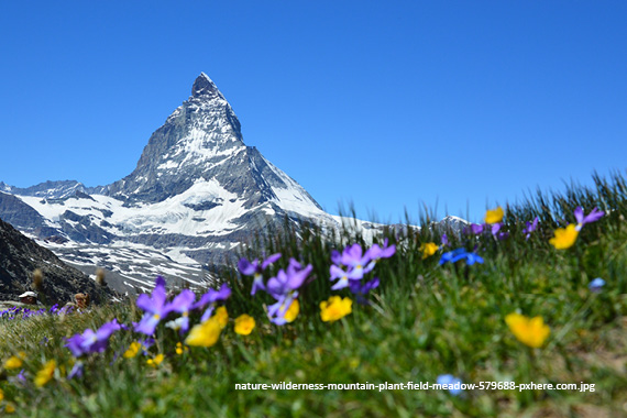 Mont Blanc, Matterhorn und Eiger-Nordwand